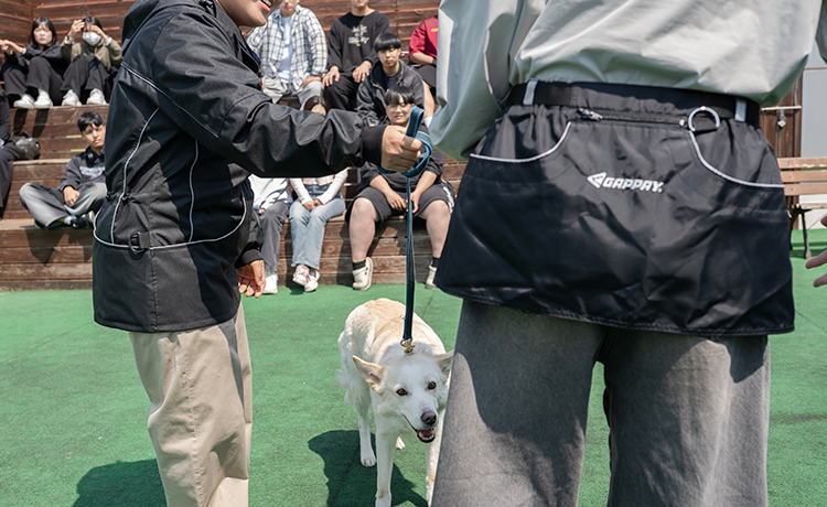 바이오동물보건과 관련이미지2